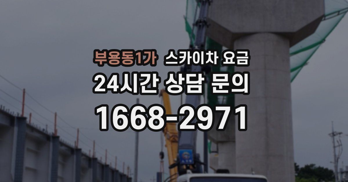 부용동1가 스카이차 요금