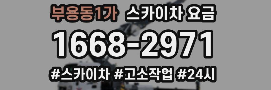 부용동1가 스카이차 요금