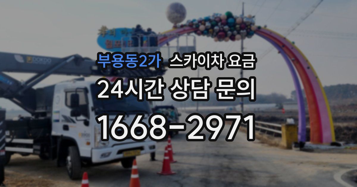 부용동2가 스카이차 요금