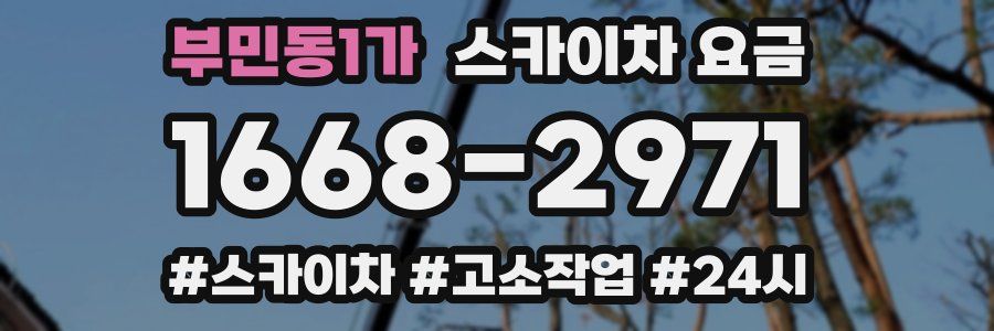 부민동1가 스카이차 요금