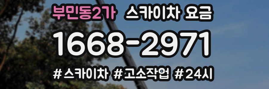 부민동2가 스카이차 요금