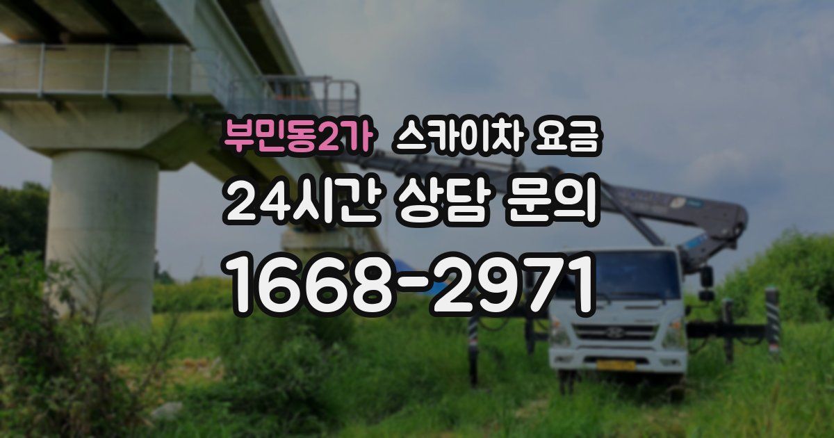 부민동2가 스카이차 요금