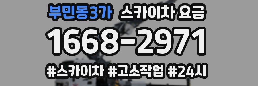 부민동3가 스카이차 요금