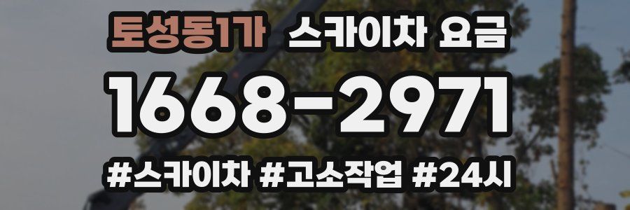 토성동1가 스카이차 요금