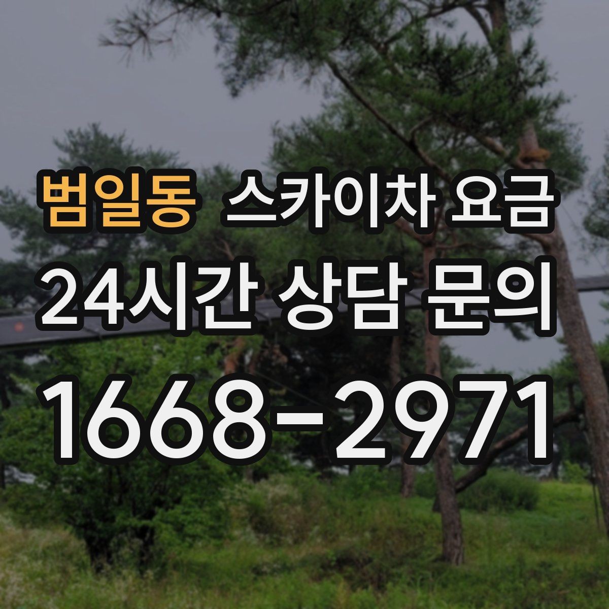 범일동 스카이차 요금 자재 포장 상태가 작업 속도에 미치는 영향