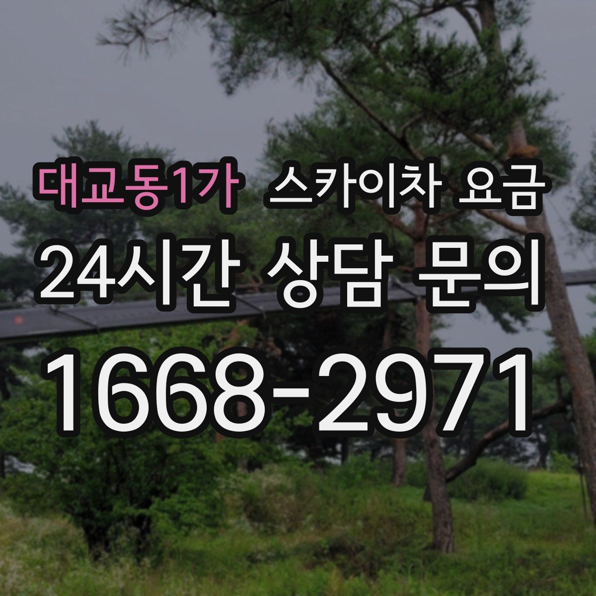 대교동1가 스카이차 요금