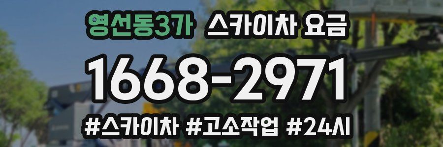 영선동3가 스카이차 요금