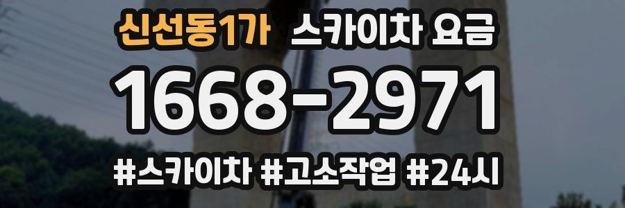 신선동1가 스카이차 요금