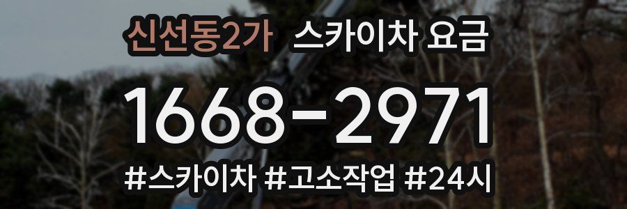 신선동2가 스카이차 요금