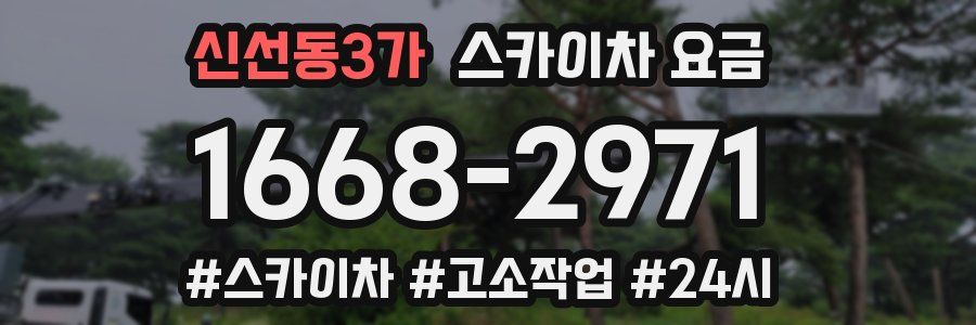신선동3가 스카이차 요금