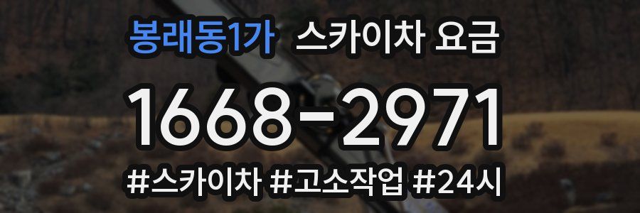 봉래동1가 스카이차 요금