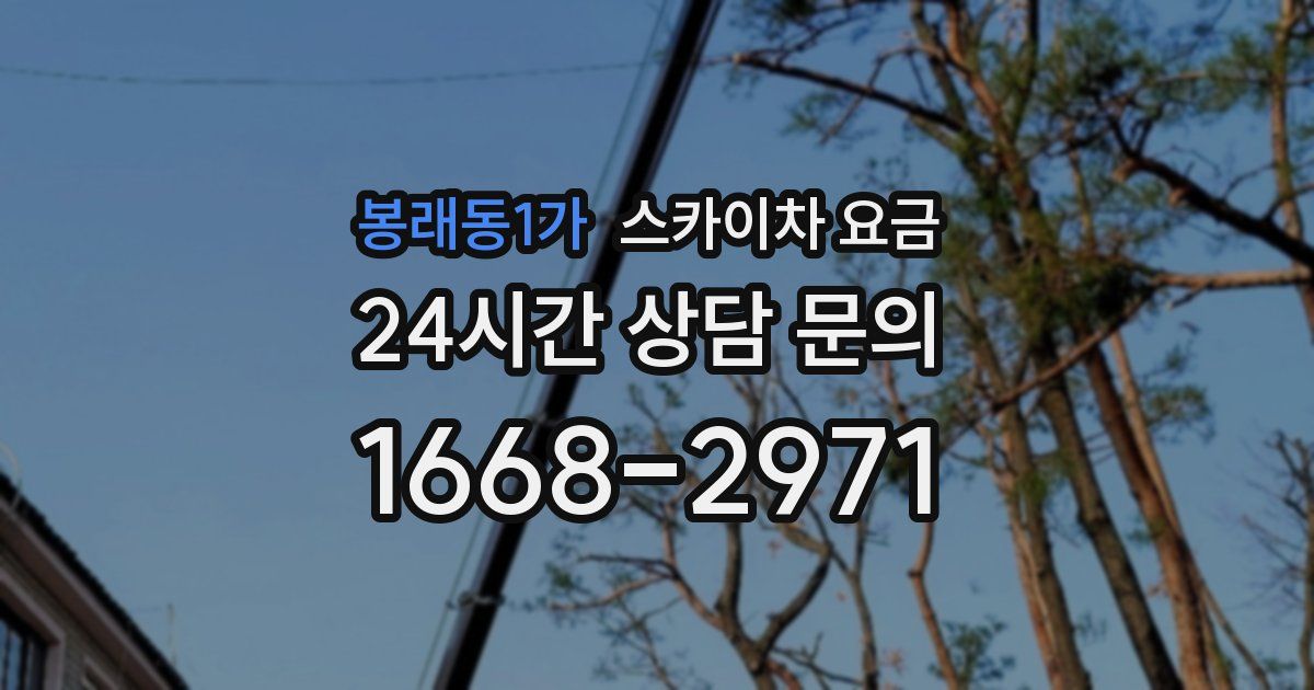 봉래동1가 스카이차 요금