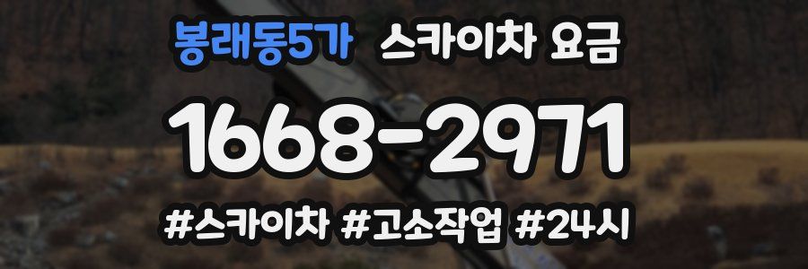 봉래동5가 스카이차 요금