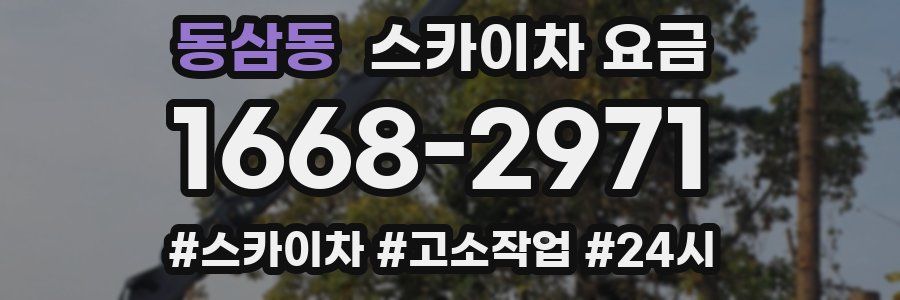 동삼동 스카이차 요금