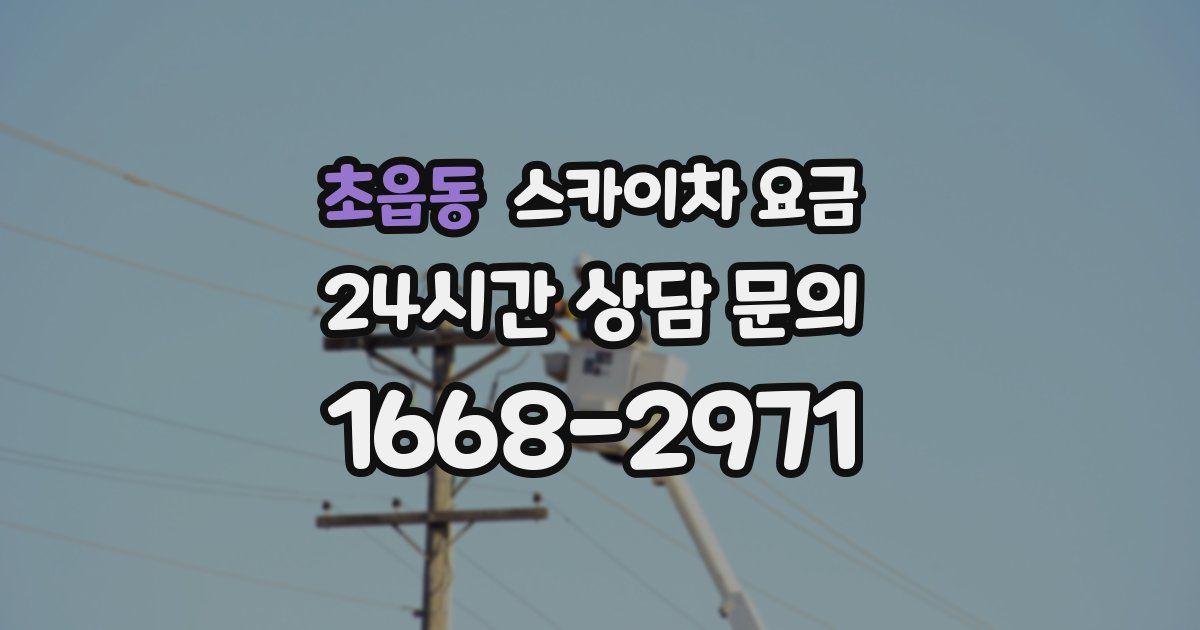 초읍동 스카이차 요금