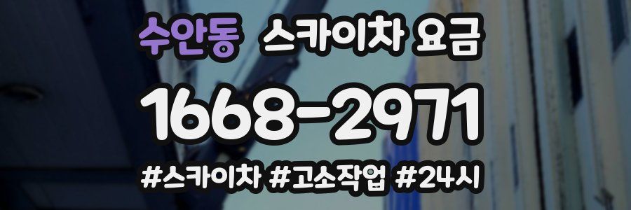 수안동 스카이차 요금