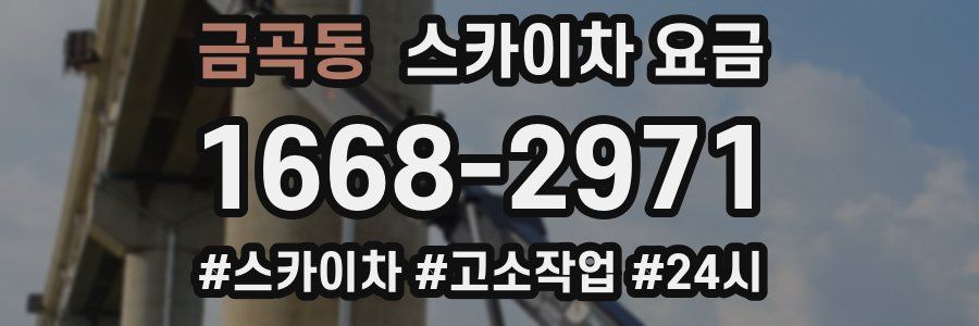 금곡동 스카이차 요금