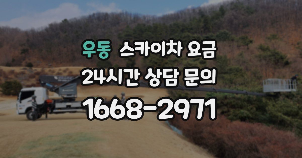 우동 스카이차 요금