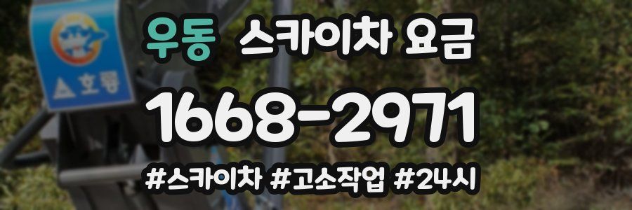 우동 스카이차 요금