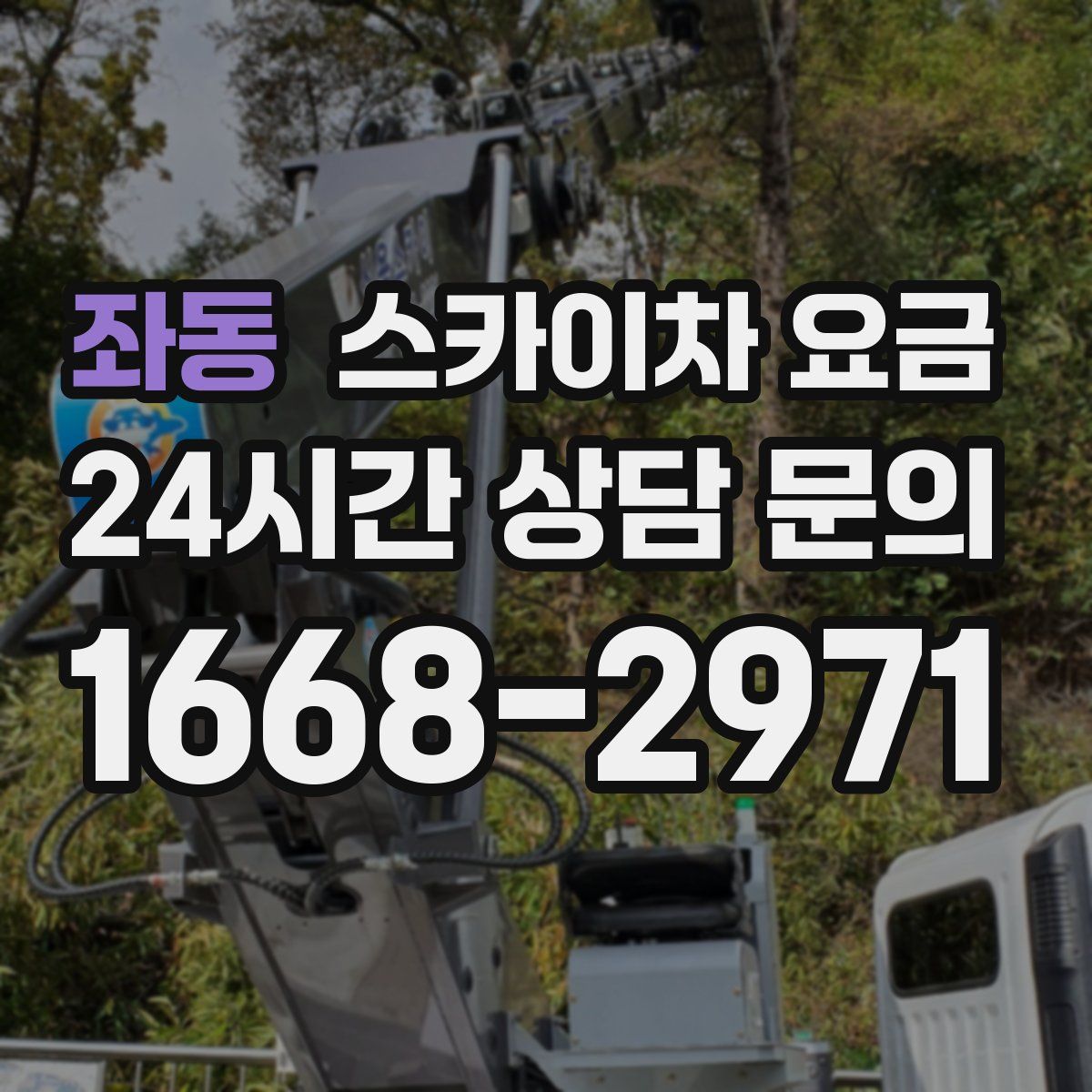 좌동 스카이차 요금