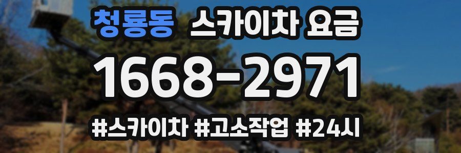 청룡동 스카이차 요금