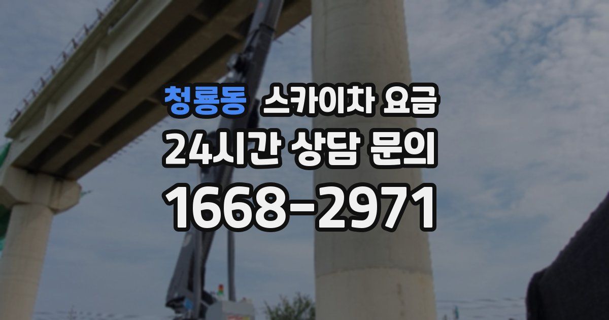 청룡동 스카이차 요금