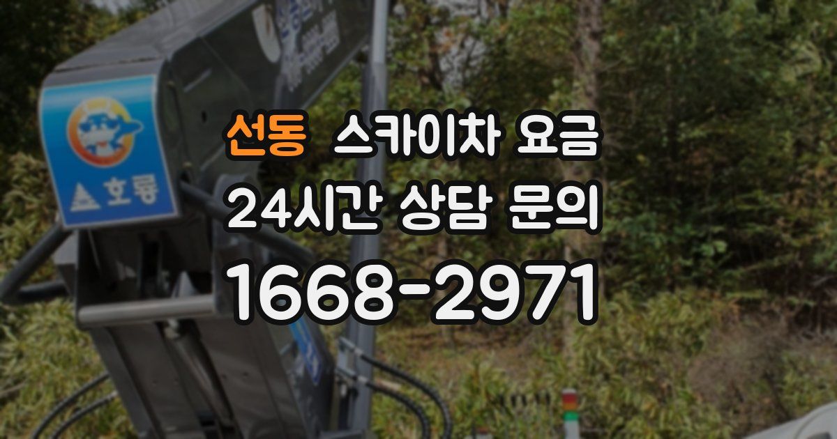 선동 스카이차 요금