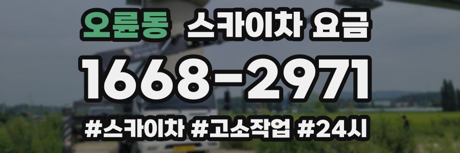 오륜동 스카이차 요금