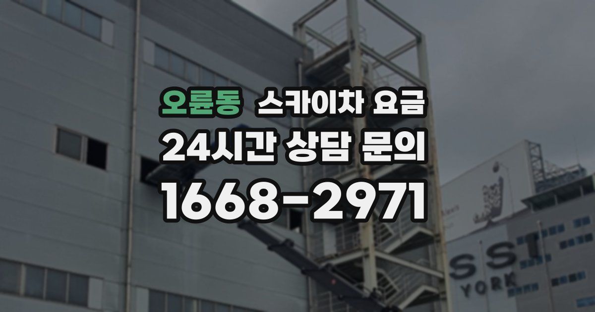 오륜동 스카이차 요금