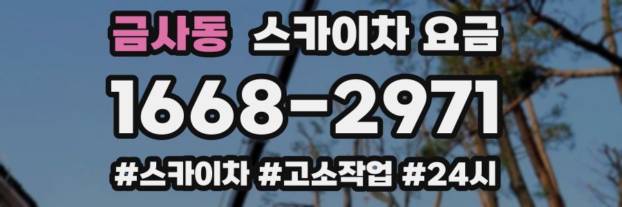 금사동 스카이차 요금