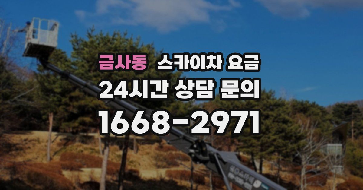 금사동 스카이차 요금