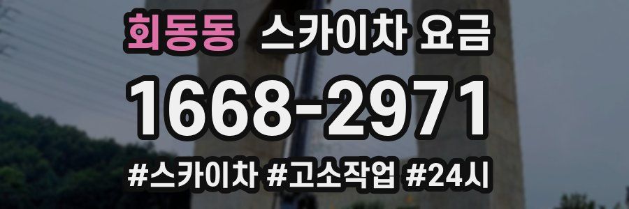 회동동 스카이차 요금