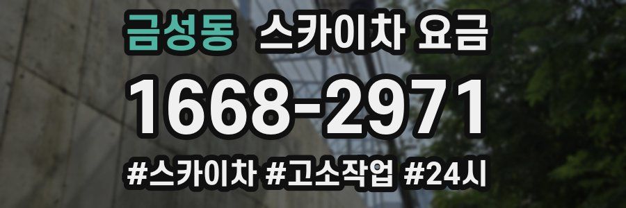 금성동 스카이차 요금