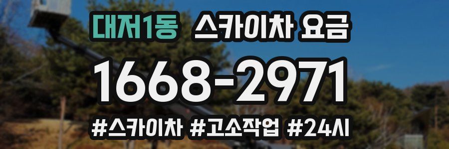 대저1동 스카이차 요금