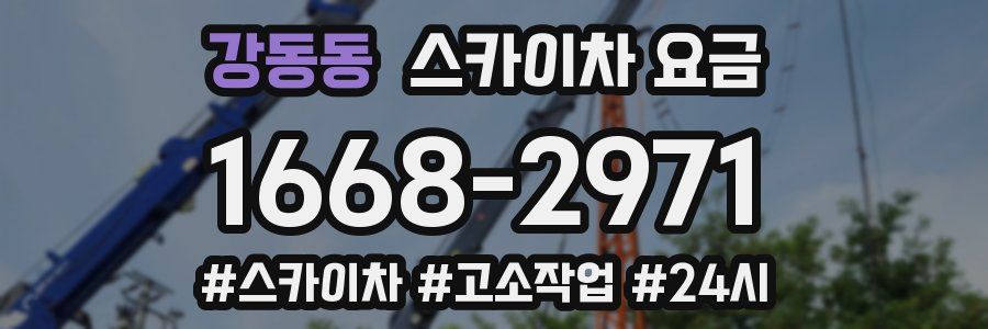 강동동 스카이차 요금