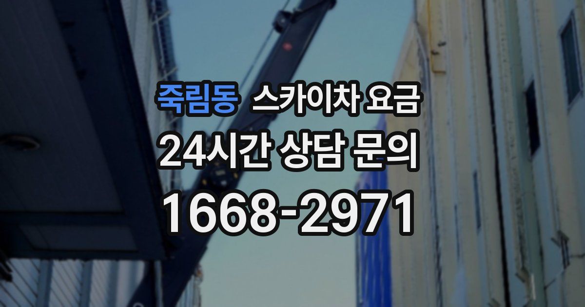 죽림동 스카이차 요금