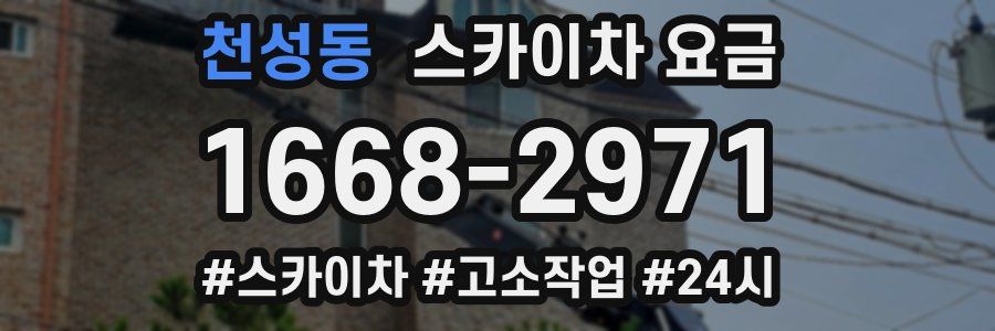 천성동 스카이차 요금