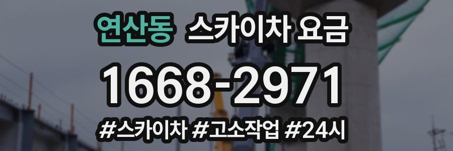 연산동 스카이차 요금