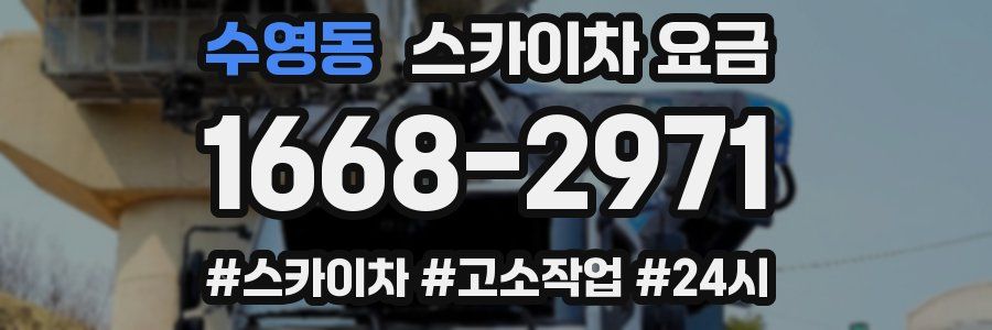 수영동 스카이차 요금