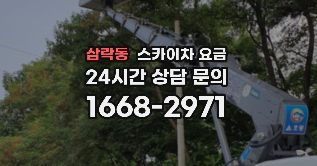 삼락동 스카이차 요금