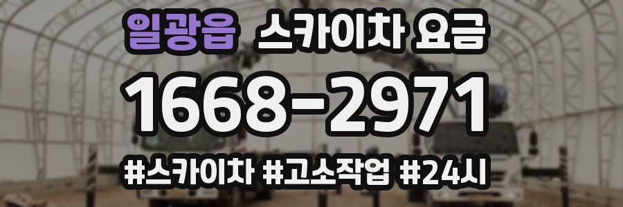 일광읍 스카이차 요금