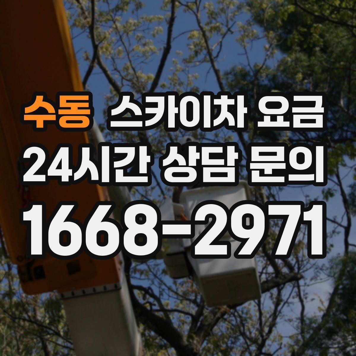 수동 스카이차 요금