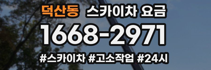 덕산동 스카이차 요금