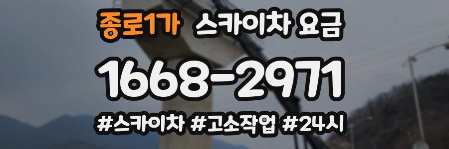 종로1가 스카이차 요금