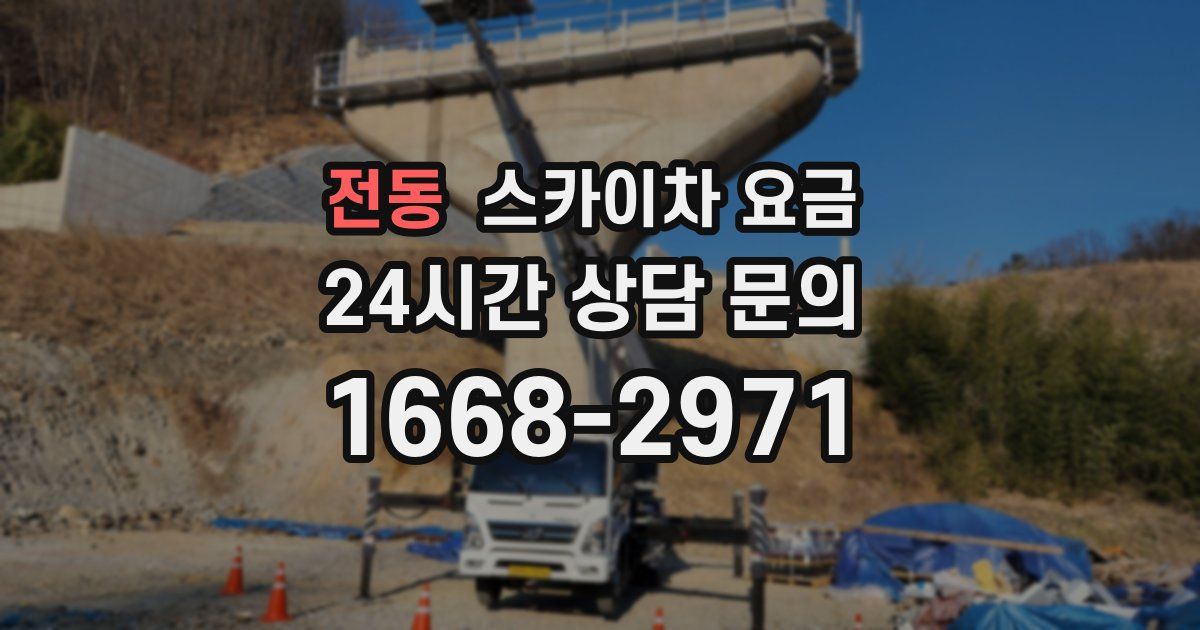 전동 스카이차 요금