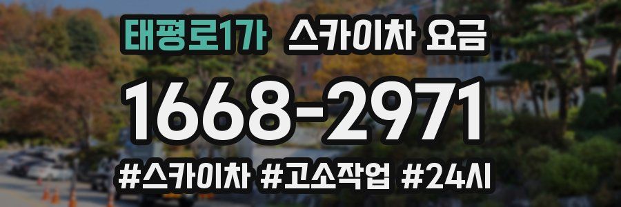 태평로1가 스카이차 요금