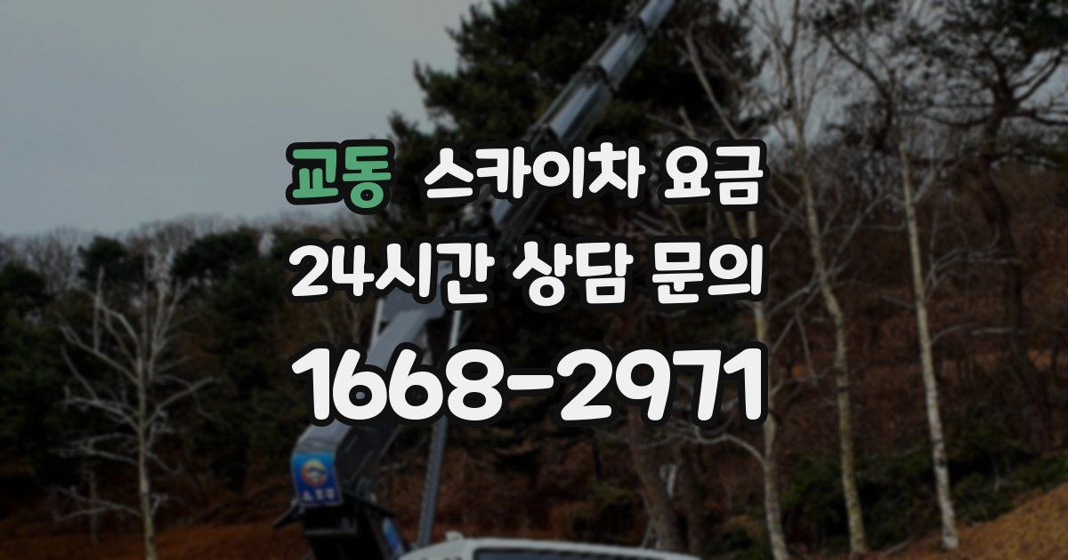 교동 스카이차 요금