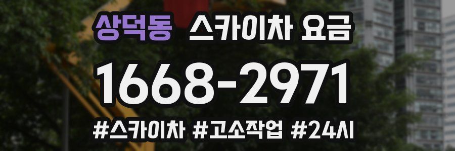 상덕동 스카이차 요금