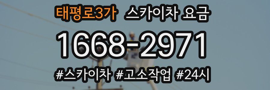 태평로3가 스카이차 요금