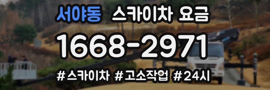 서야동 스카이차 요금